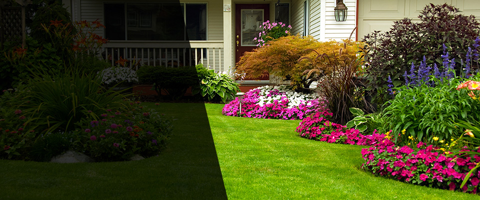 Janesville Landscapers